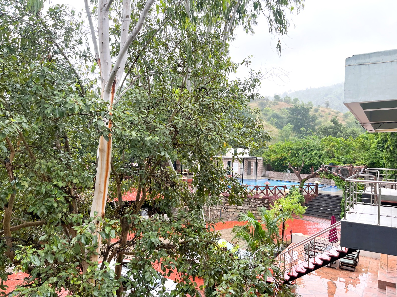 View of Czar Palace pool through the trees